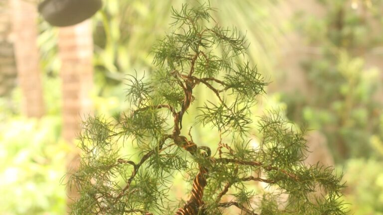 Viveiros de Eugenias: Cultivo Sustentável e Biodiversidade