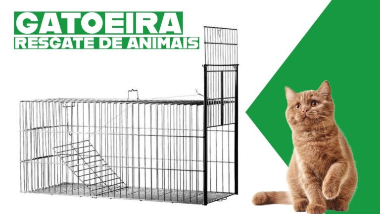 Guia Prático para Usar Gaiola para Pegar Gato