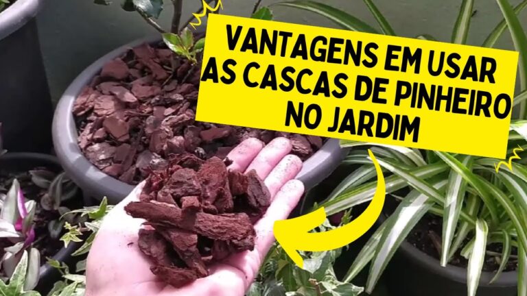 Como Usar Casca de Pinheiro no Jardim