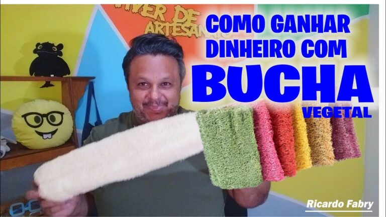 Onde Comprar Esponja Vegetal com Qualidade