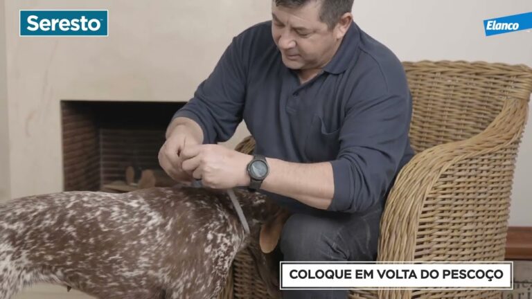 Seresto: A Solução Ideal para Cães Pequenos