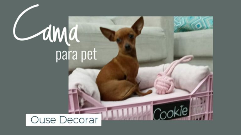 Camas Plásticas para Cães: Conforto e Durabilidade