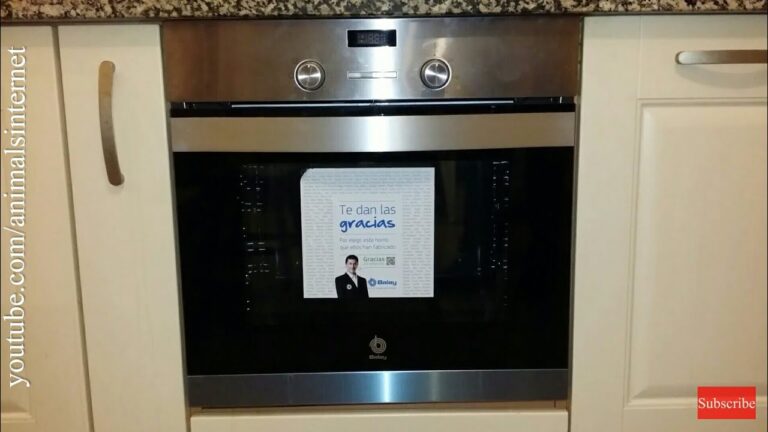 Instruções Essenciais para o Forno Balay