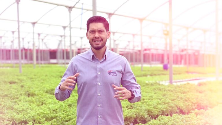 Estufas Agr&iacute;colas Pequenas: Solu&ccedil;&atilde;o Eficiente para Cultivos Sustent&aacute;veis