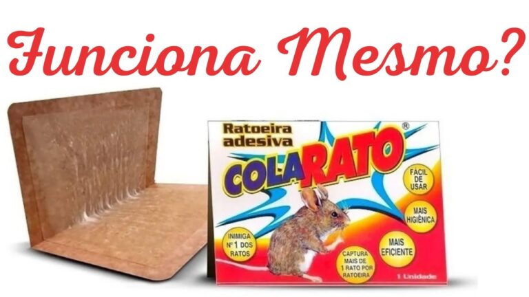 Onde Comprar Cola para Rato com Facilidade