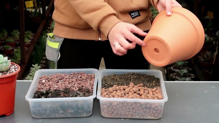 Pedra Vulcânica: A Beleza Natural para Seu Jardim