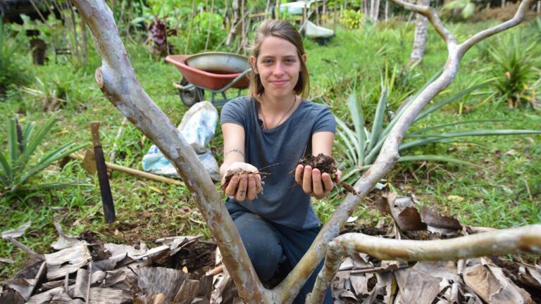 Adubo Ideal para &Aacute;rvores de Fruto
