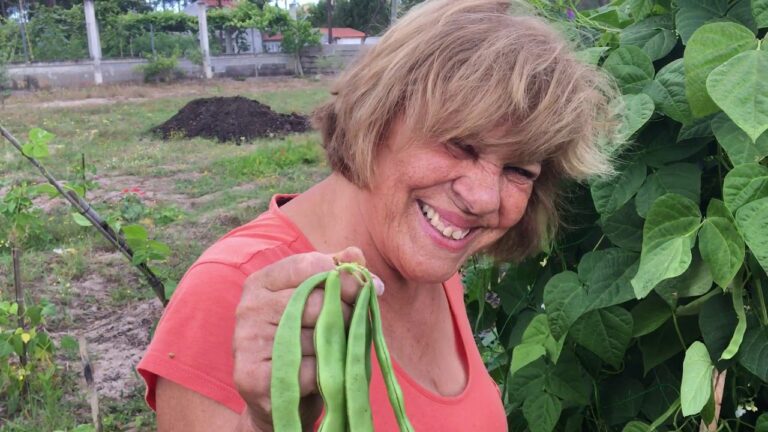 A Import&acirc;ncia da Rede para Feij&atilde;o Verde na Agricultura Sustent&aacute;vel