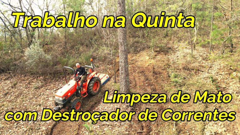 O Poder do Destroçador de Correntes: Transformando Desafios em Oportunidades